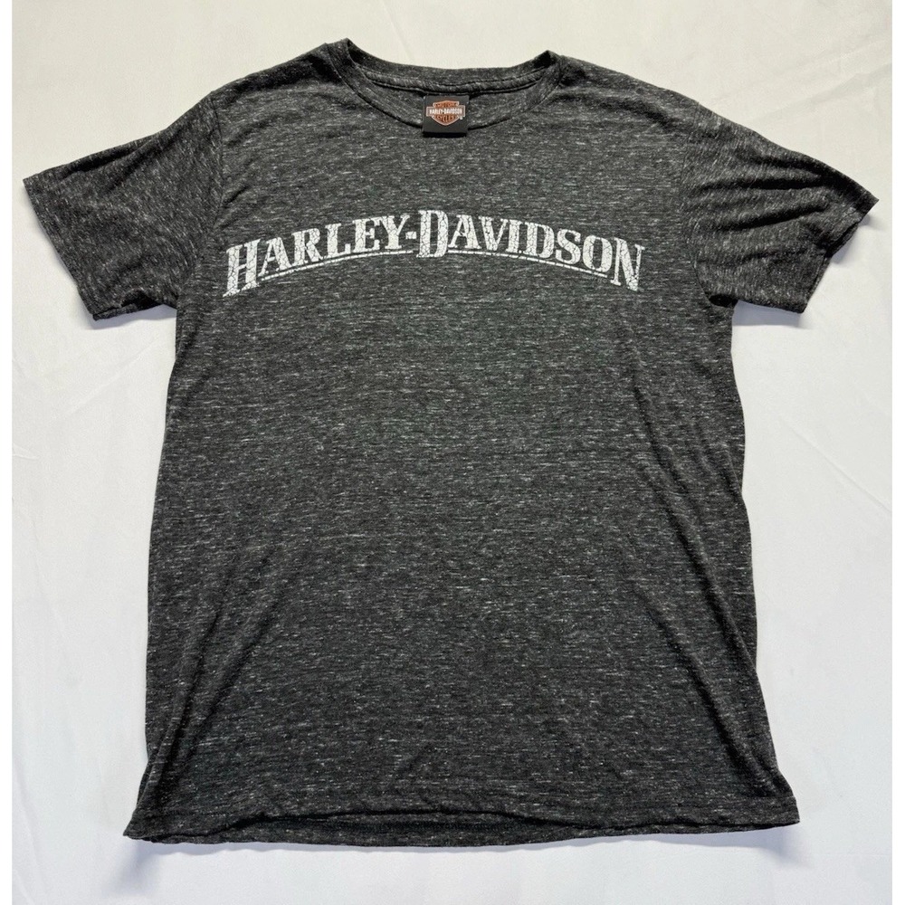 Harley Davidson Mens Small t-shirt Gray graphic tee logo biker tee